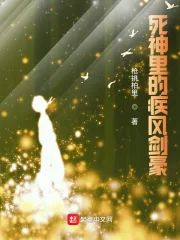 《死神里的疾风剑豪》小说封面
