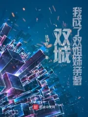 《双城:我成了双姐妹亲爹》小说封面