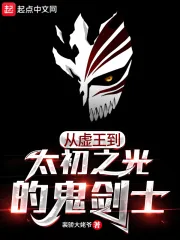 《从虚王到太初之光的鬼剑士》小说封面