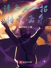 《请务必一招将我击杀》小说封面