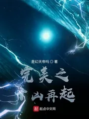 《完美之十凶再起》小说封面
