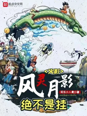 《火影:风灵月影绝不是挂》小说封面