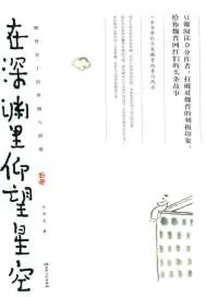 《在深渊里仰望星空:魏晋名士的卑微与骄傲》小说封面