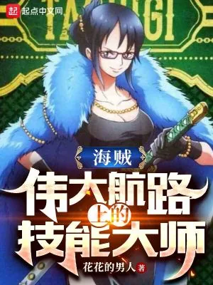 《海贼：伟大航路上的技能大师》小说封面