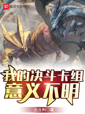 《我的决斗卡组意义不明》小说封面