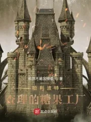 《哈利波特：查理的糖果工厂》小说封面
