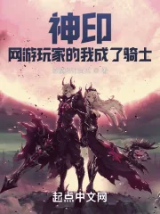 《神印:网游玩家的我成了骑士》小说封面