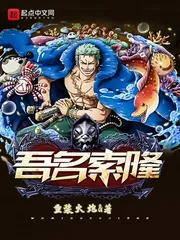 《海贼之吾名索隆》小说封面