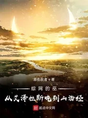 《综网的巫：从艾泽拉斯吃到山海经》小说封面