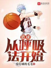 《篮球从呼吸法开始》小说封面