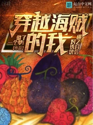《穿越海贼的我对铁块迷之自信》小说封面