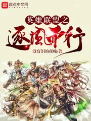 《英雄联盟之逐风而行》小说封面