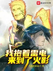 《我抱着雷电来到了忍界》小说封面