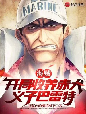 《海贼:开局收养赤犬,义子巴雷特》小说封面