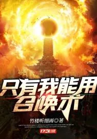 《只有我能用召唤术》小说封面