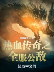 《热血传奇之全服公敌》小说封面