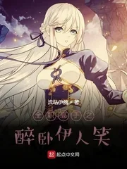 《全职高手之醉卧伊人笑》小说封面