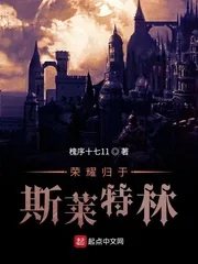 《荣耀归于斯莱特林》小说封面
