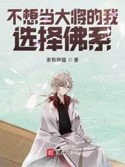 《不想当大将的我选择佛系》小说封面