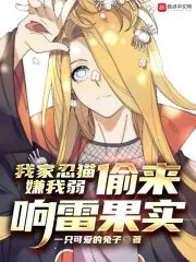 《我家忍猫嫌我弱,偷来响雷果实》小说封面