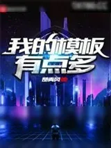 《我的模板有点多》小说封面