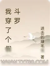 《我穿了个假斗罗》小说封面