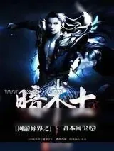 《网游异界之暗术士》小说封面