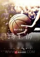 《场上的主教练》小说封面