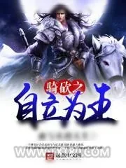 《骑砍之自立为王》小说封面