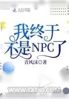 《我终于不是NPC了》小说封面