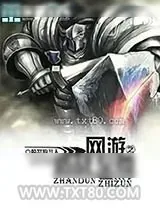 《网游之盾战至尊》小说封面