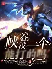 《峡谷没一个能打的吗》小说封面