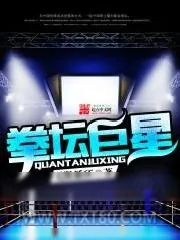 《拳坛巨星》小说封面