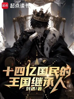 《十四亿国民的王国继承人》小说封面