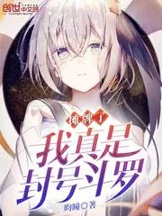 《摊牌了我真是封号斗罗》小说封面