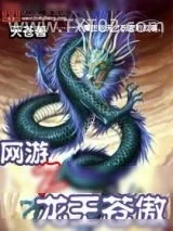 《网游之龙王苍傲》小说封面