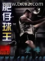 《肥仔球王》小说封面