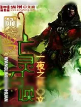 《巅峰》小说封面