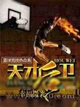 《天才后卫》小说封面