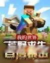 《我的世界：荒野求生！》小说封面