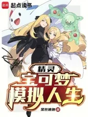 《精灵:宝可梦模拟人生》小说封面