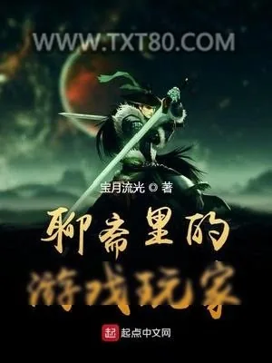《独游异乡》小说封面