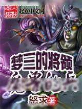 《梦三的将领魔兽的兵》小说封面
