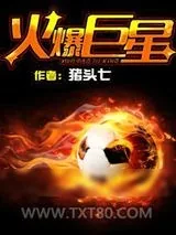 《火爆巨星》小说封面