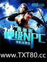 《网游之神级NPC》小说封面