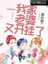 《我家老婆又开挂了》小说封面