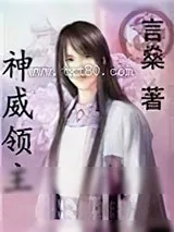 《神威领主》小说封面