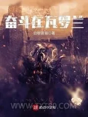 《奋斗在瓦罗兰》小说封面