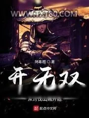 《开无双从讨伐山贼开始》小说封面