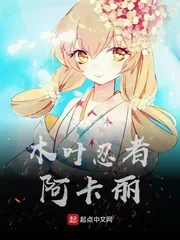 《木叶忍者阿卡丽》小说封面